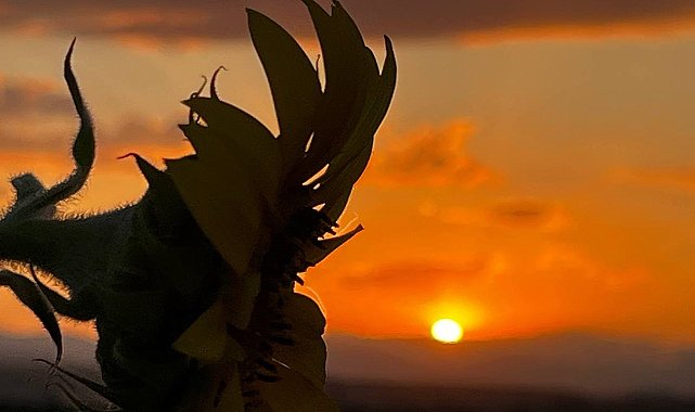 Ağrı'da gün batımı görsel şölen oluşturdu