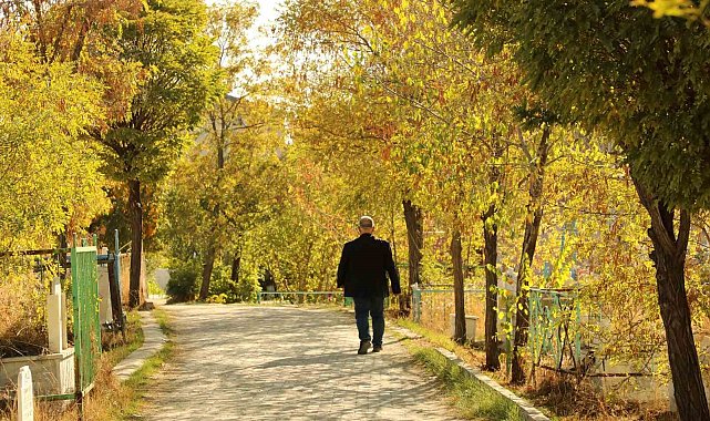 Ağrı'da sonbahar güzelliği hayran bırakıyor