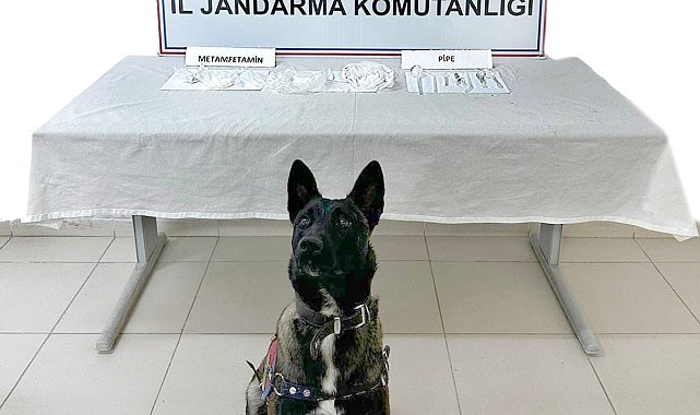 Ağrı'da uyuşturucu ele geçirildi