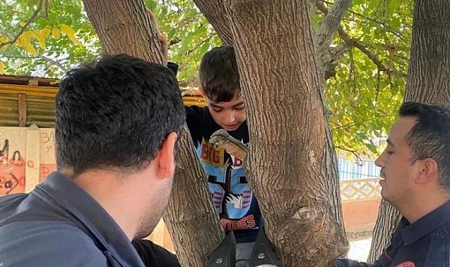 Ayağı ağaca sıkışan çocuğu, itfaiye kurtardı