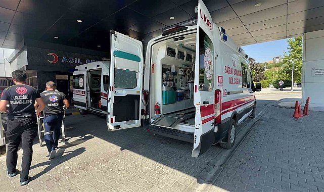 Köpeğinin saldırısına uğrayan kadın ağır yaralandı