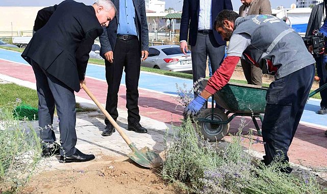 Başkan Çınar, Lavanta bahçelerini inceledi