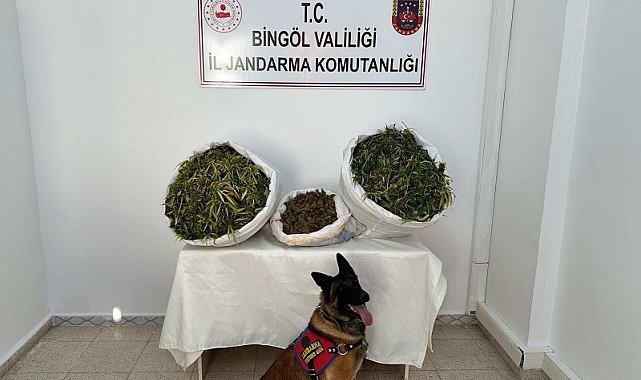 Bingöl'de 36 kilo uyuşturucu maddesi ele geçirildi