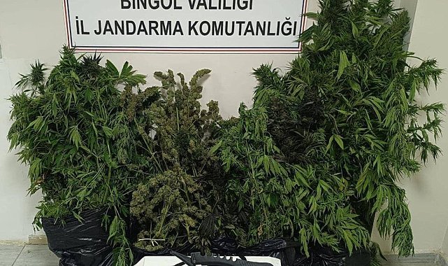 Bingöl'de uyuşturucu operasyonu