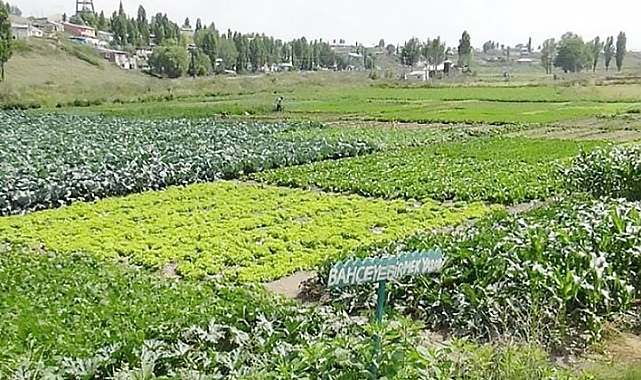 Bursa'dan Kars'a üretim