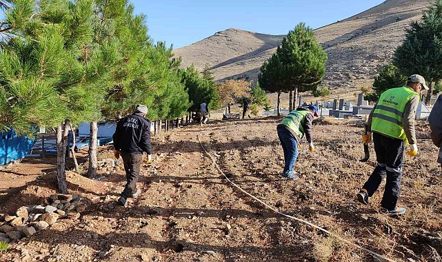 Doğanşehir Belediyesi 39 mahallede mezarlık temizliği yapıyor
