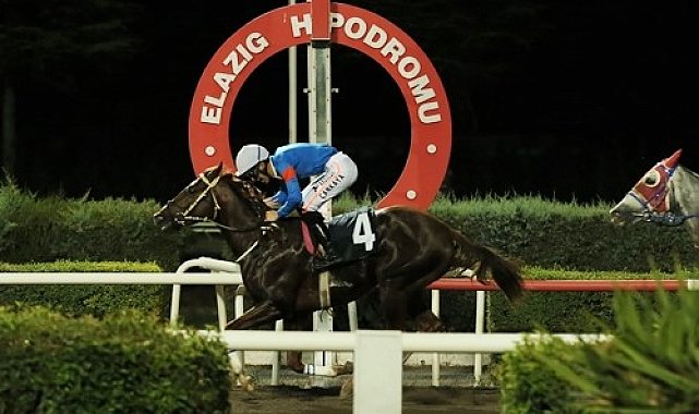 Elazığ Üzüm Festivali Koşusu Pamukkale'nin