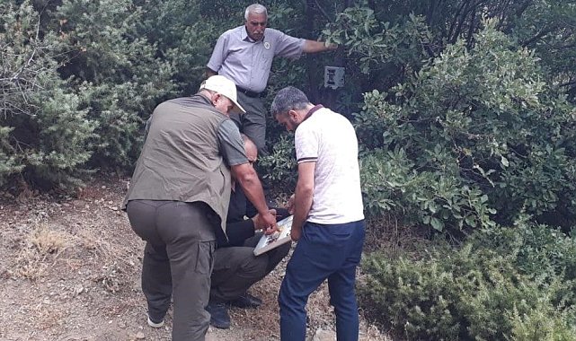 Elazığ'da fotokapanların konum ve kart değişimleri yapıldı