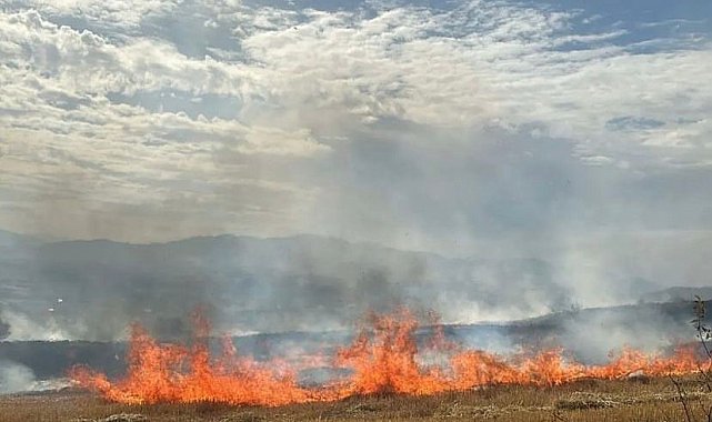 Elazığ'da korkutan anız yangını