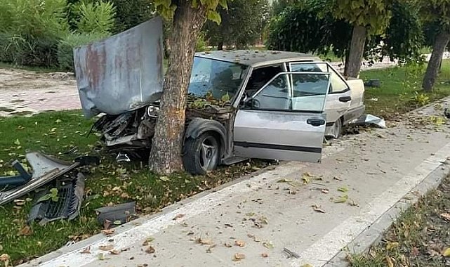 Elazığ'da otomobil ağaca çarptı: 1 yaralı