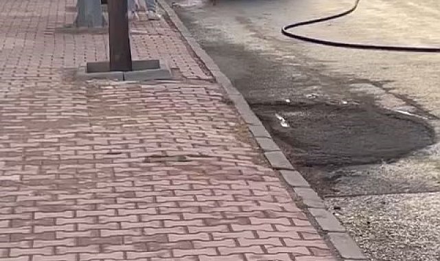 Elazığ'da seyir halindeki otomobil yandı