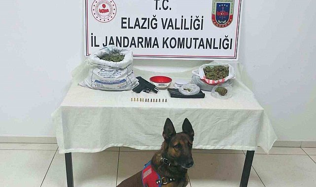 Elazığ'da uyuşturucu operasyonu: 2 gözaltı