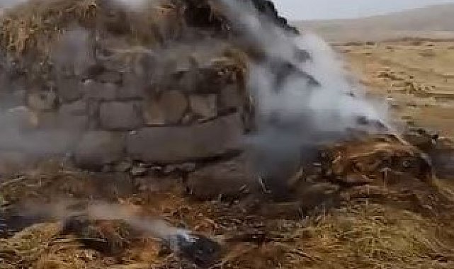 Erciş'te yıldırım düştü, 3 bin bağ ot yandı