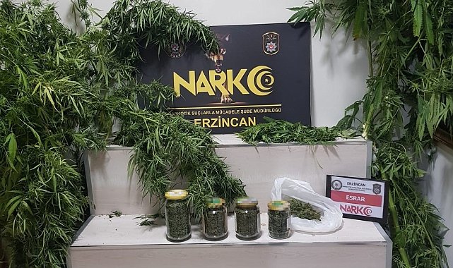 Erzincan'da 642.49 gram esrar ve 3 kök kenevir ele geçirildi