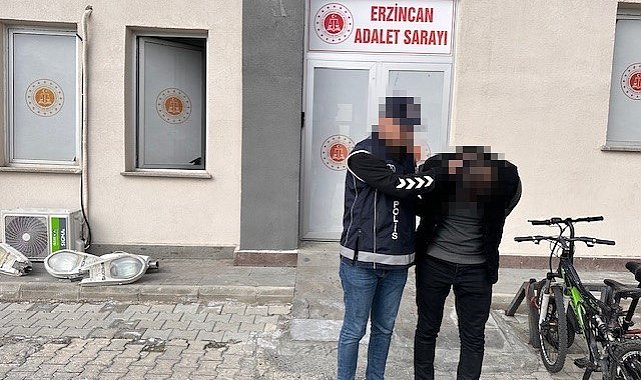 Erzincan'da 7 kaçak göçmen yakalandı, 1 organizatör tutuklandı