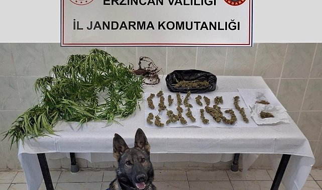Erzincan'da jandarma ekipleri suça geçit vermiyor