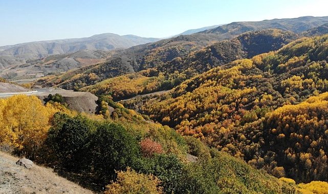 Erzincan'da sonbaharda renk cümbüşü