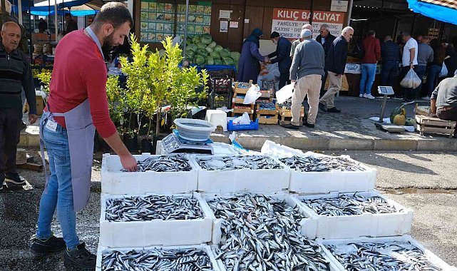 Erzincan'da tezgahlarda hamsi bolluğu