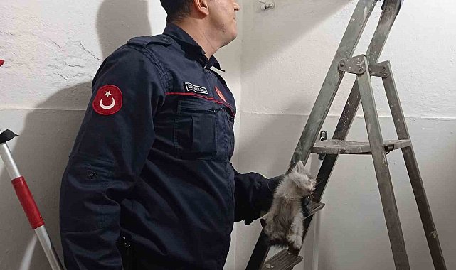 Havalandırma boşluğuna düşen kediyi itfaiye kurtardı