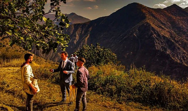 Hizan'da fıstık hasadı