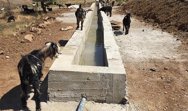 Hizan'da hayvanlar için sıvat kurulumu yapıldı