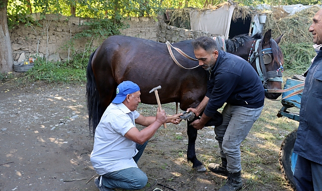 Iğdırlı nalbant mesleğini 45 yıldır sürdürüyor