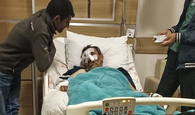 Kars'ta ayı saldırısına uğrayan kişi ağır yaralandı