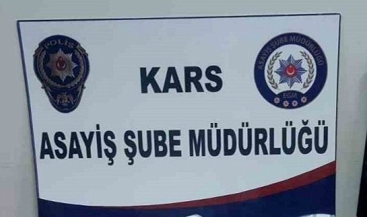 Kars'ta ruhsatsız silah bulunduran 2 kişi yakalandı