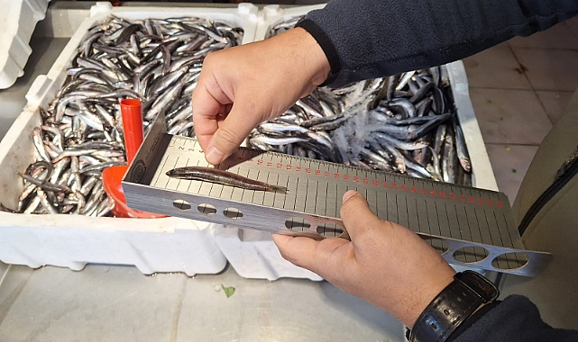 Kars&#039;ta su ürünleri denetimleri yapıldı