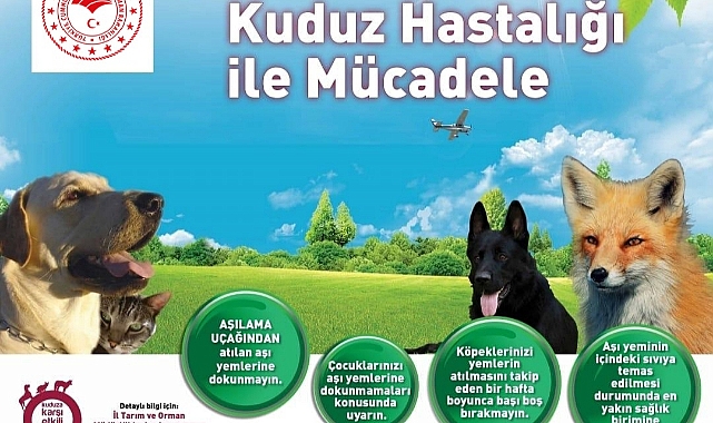 Kars'ta yaban hayatına yönelik oral aşı atımı yapılacak
