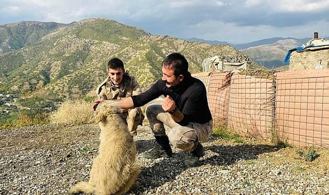 Kaymakamın bulduğu yavru köpekler güvenlik güçlerine arkadaş oldu