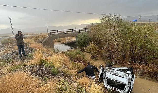 Köpekten kaçarken kaza yaptı: 2 yaralı