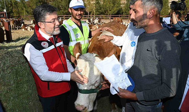Malatyalı depremzedelere büyükbaş hayvan desteği
