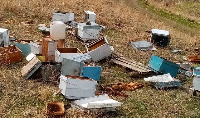 Muş&#039;ta aç kalan ayılar arı kovanlarını parçaladı