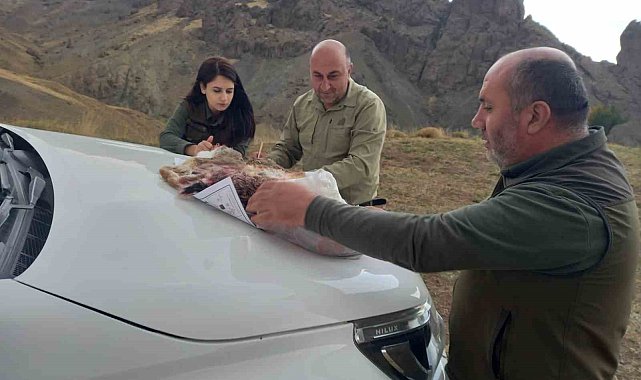 Özalp'ta kaçak avlanan 3 kişi hakkında işlem yapıldı