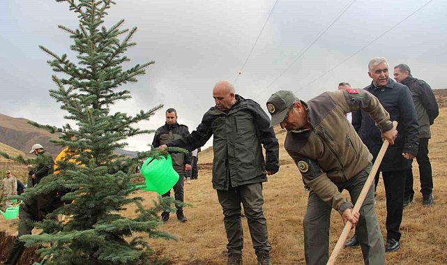 Palandöken'de 4 bin fidan toprakla buluştu
