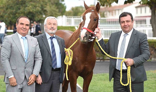 Safkan Arap tayı 5 milyona alıcı buldu