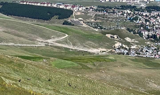 Sarıkamış ağaçlarla yeşillensin