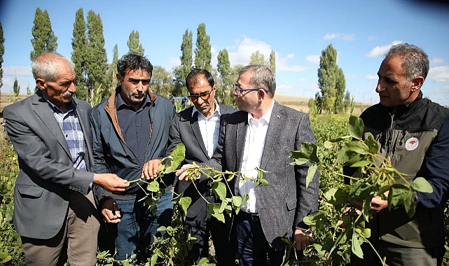 Silajlık soya bitkisi hasadı yapıldı