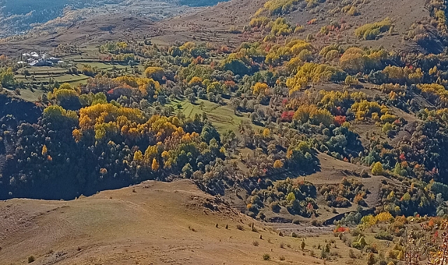 Sonbahar doğaya ayrı bir güzellik kattı