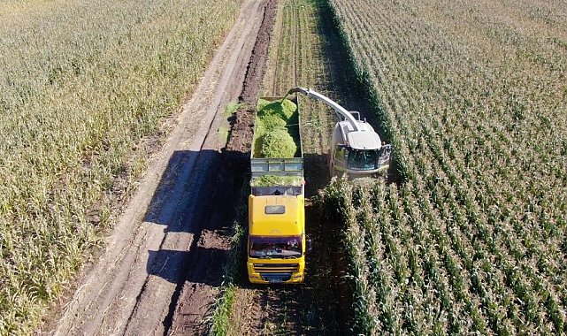Tarım-ÜFE yıllık yüzde 71,96 arttı