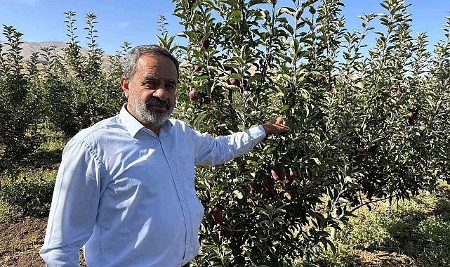 Tarlada 5 lira olan elmanın fiyatı markette 30 liraya kadar çıkıyor