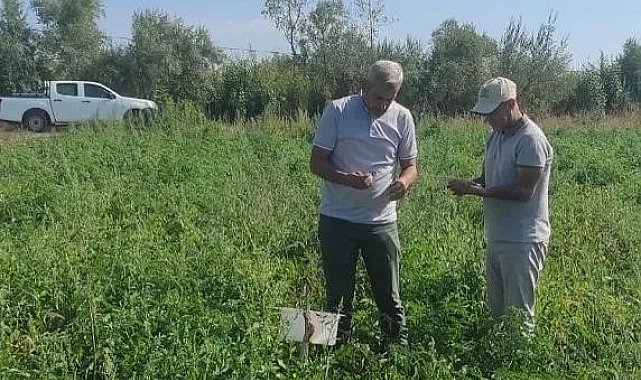 Tatvanlı çiftçilere "Feromon Tuzağı" desteği