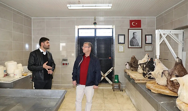 Vali Polat Boğatepe Köyü'nde incelemelerde bulundu