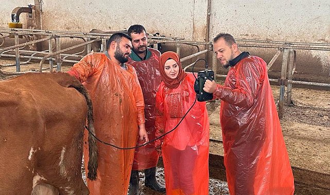 Van Büyükşehir Belediyesi veteriner hekimleri mezbahanelerde ultrasonla kontrol yapacak
