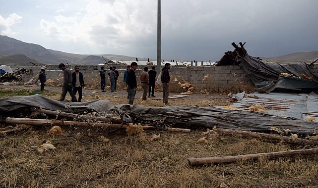 Van'da hortum: Çiftliği yerle bir etti