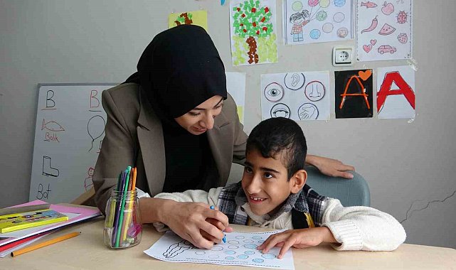 Van'da özel öğrenciye özel öğretmen