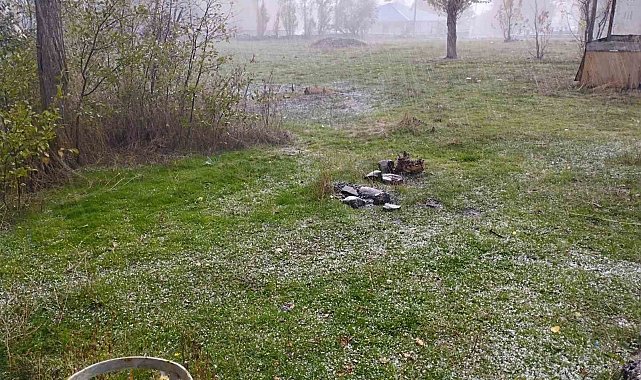 Varto'da dolu yağışı