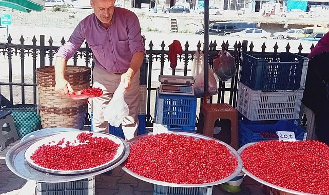 Vitamin deposu kızılcık tezgahlarda yerini aldı