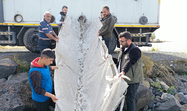 Yavru Sazanlar Çıldır Gölü’ne bırakıldı